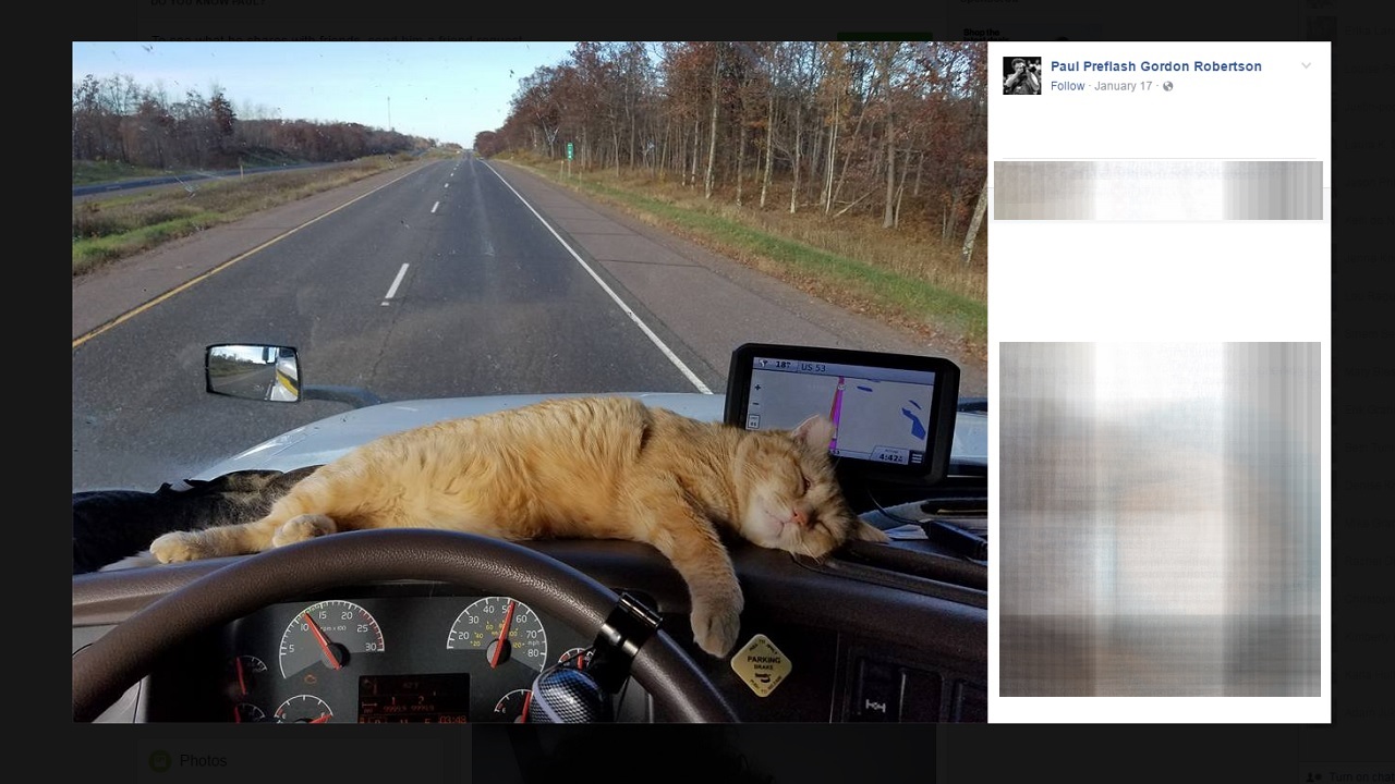 Truck driver Cat survives 400 miles clinging under semi